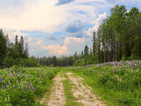 Phong thủy bàn làm việc