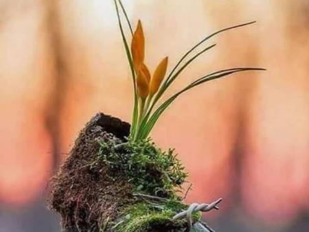 Nhiều người nghiện mạng xã hội, vì sao?