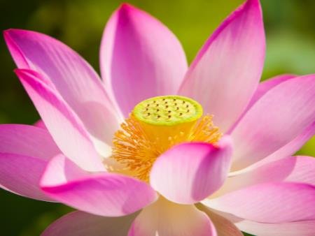 SUY NGẪM TỪ LỜI PHẬT DẠY