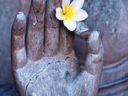 Có nên tụng kinh niệm Phật vào buổi đêm hay không?