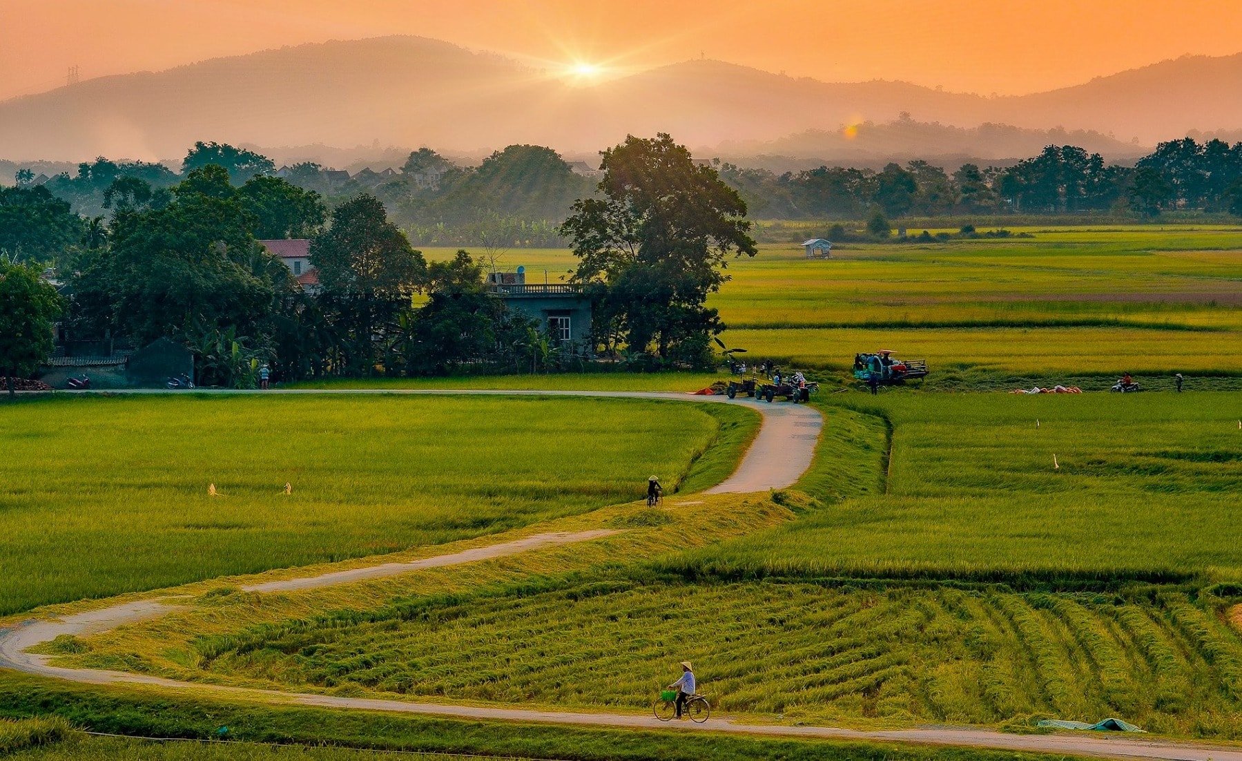 Phải tinh tấn hôm nay, kẻo ngày mai không kịp...