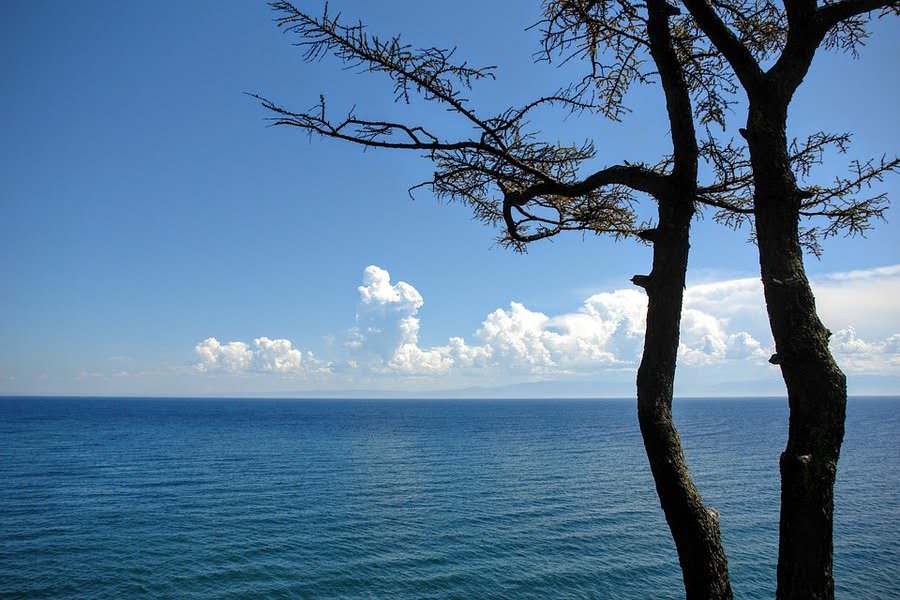 Dòng sông Trương Chi